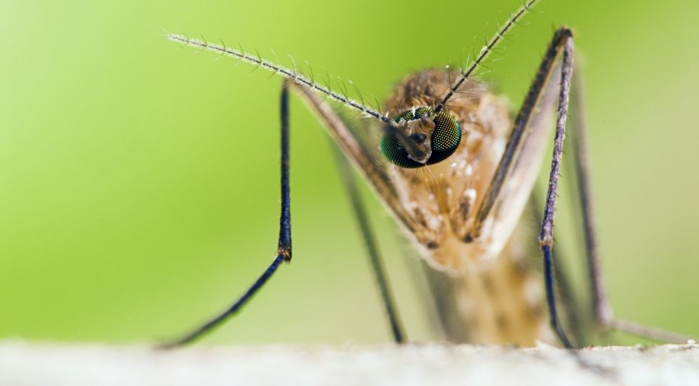 pusteln im gesicht drogen