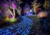 Die Insel Mainau wird zum Lichterparadies