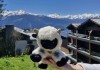 Flauschige Sommergäste im Six Senses Crans-Montana