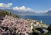 Tessin entdecken: Die schönsten Tipps für Genussbegeisterte
