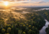 Schweizer Tech trifft Amazonas: Picterra kooperiert mit INPA