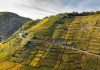 Ahrtal zur schönsten Weinregion Europas gekürt