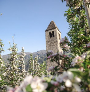 Frühling in Naturns – wo die Natur neue Energie schenkt