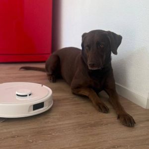 Stilpalast hat getestet: Wie alltagstauglich ist der neue Roborock Qrevo S Pro
