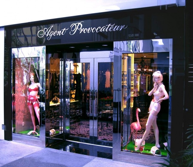 Agent Provocateur Paris (blog.juliettelonguet.com).jpg