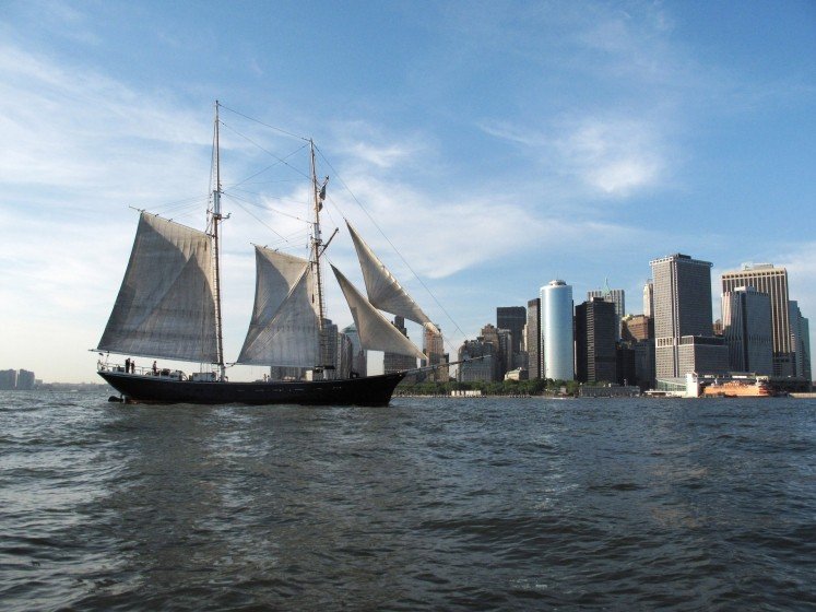 Shearwater (manhattanbysail.com).jpg