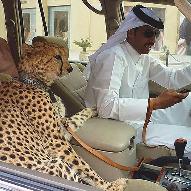 Verrücktes Dubai