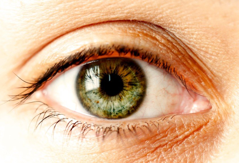 Diese Lidschatten passen zu deiner Augenfarbe