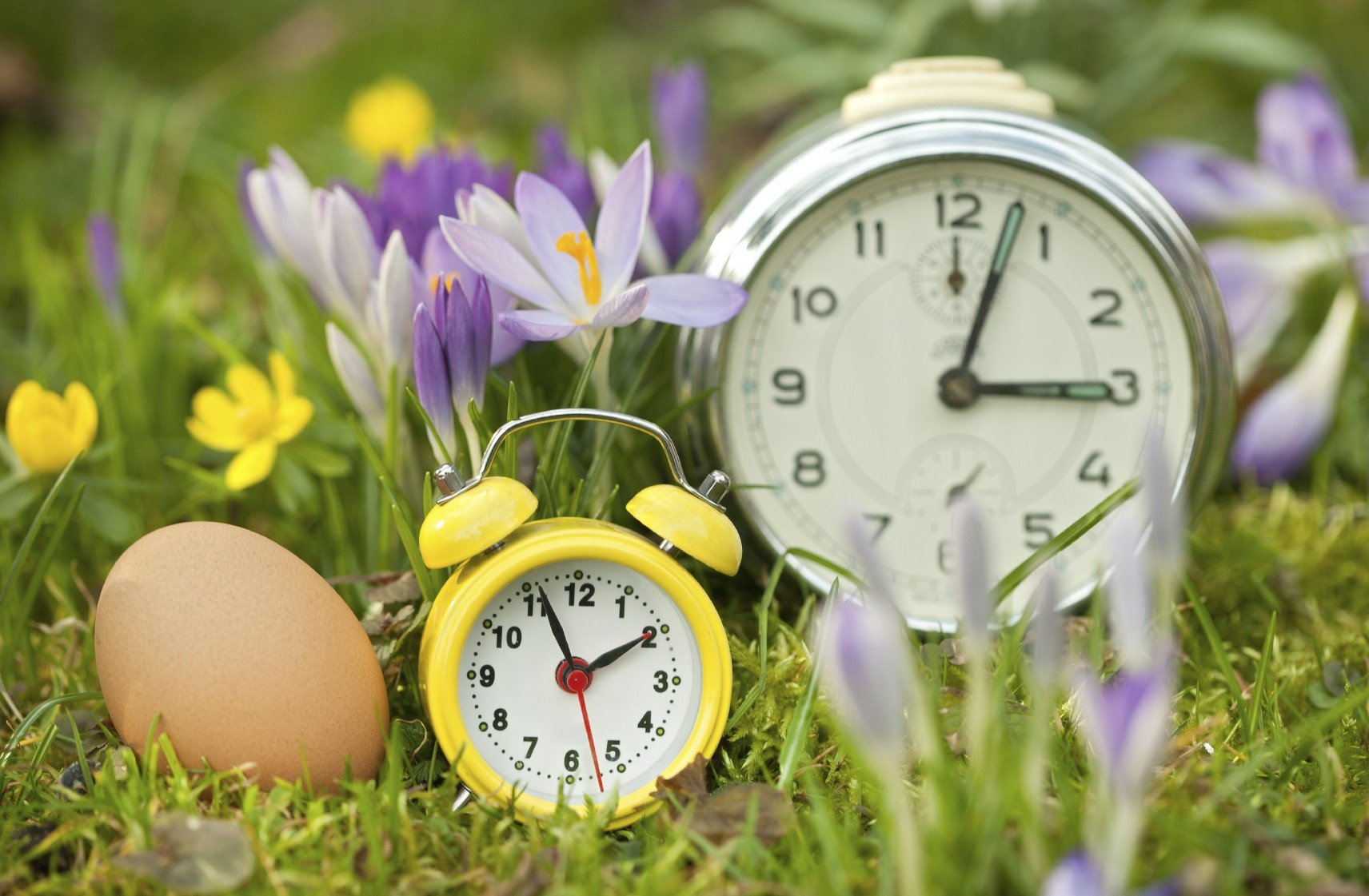 iStock_000087160827_Medium.jpg