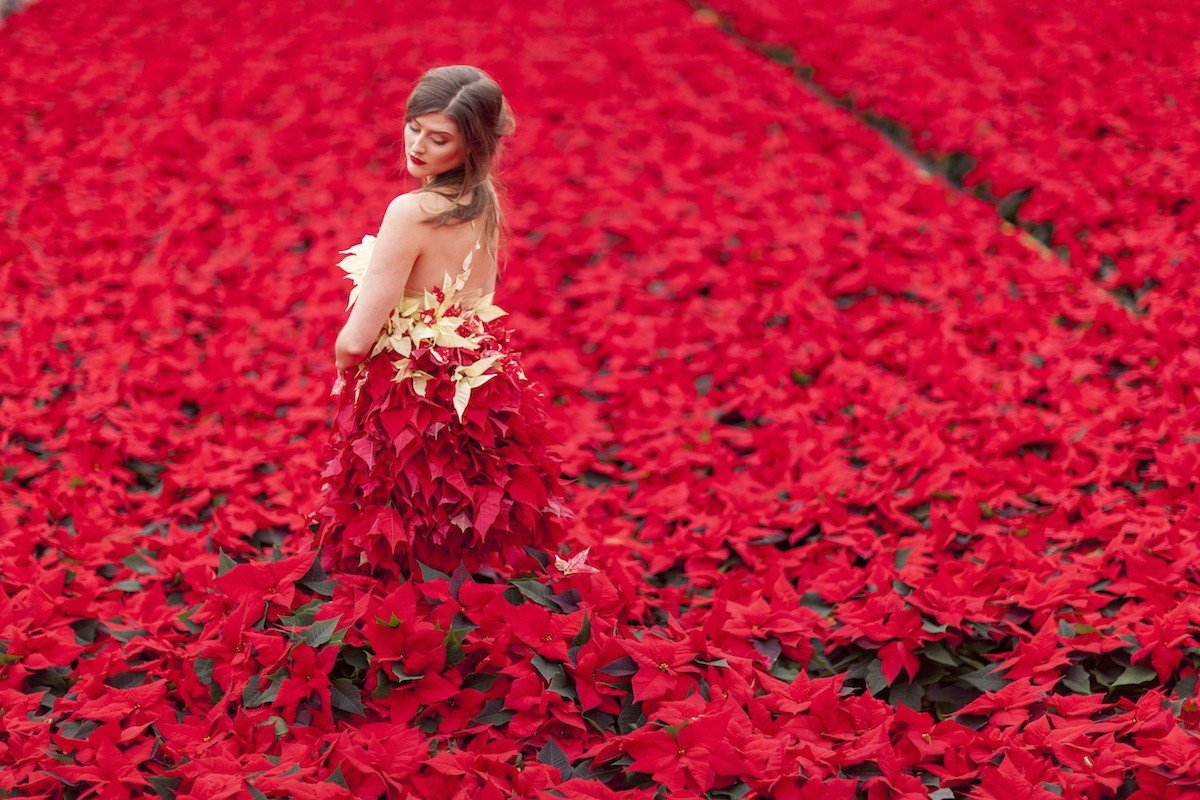 2016-poinsettia-dress-03_de.jpg