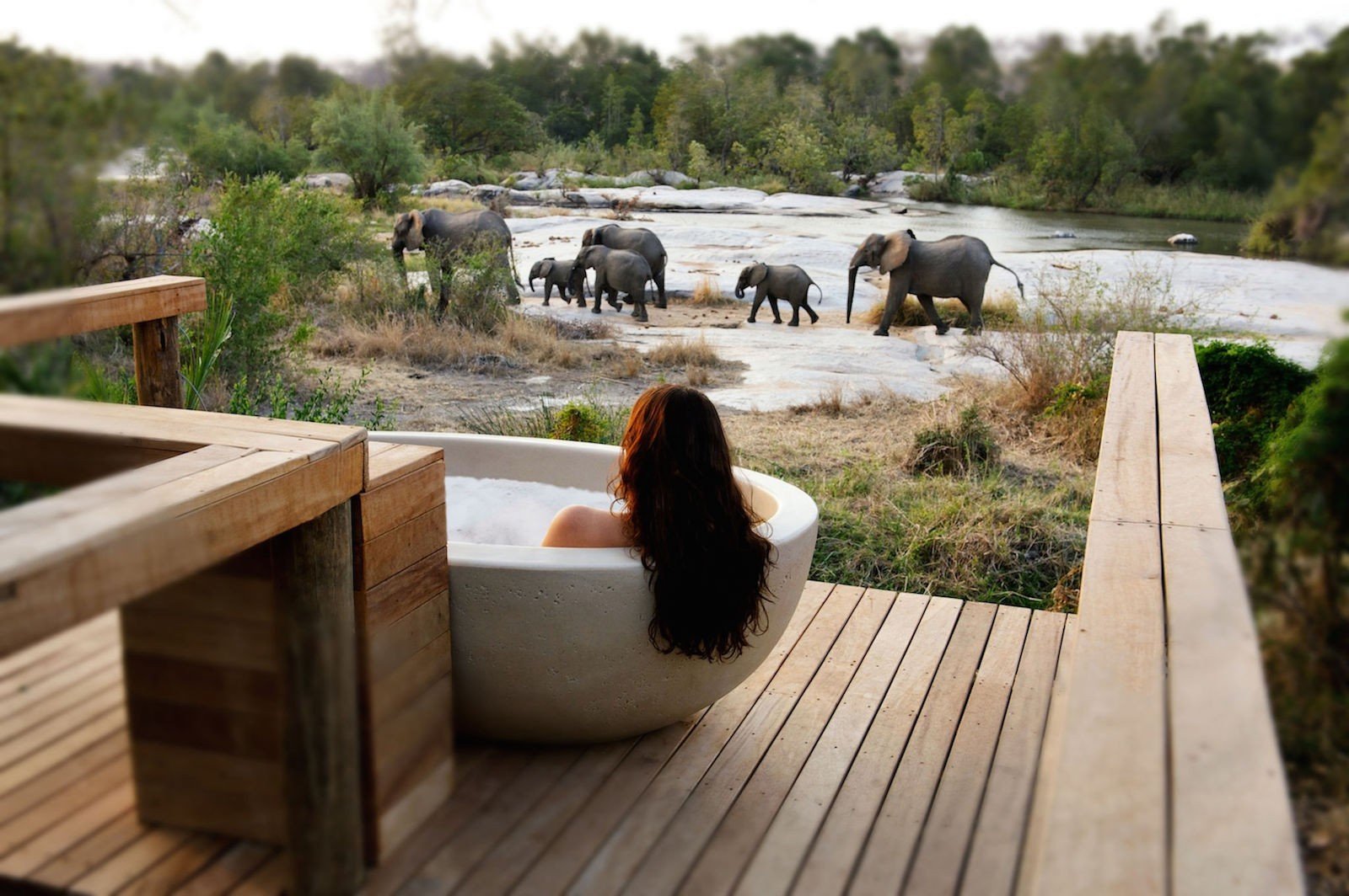 hotelplan safari afrika