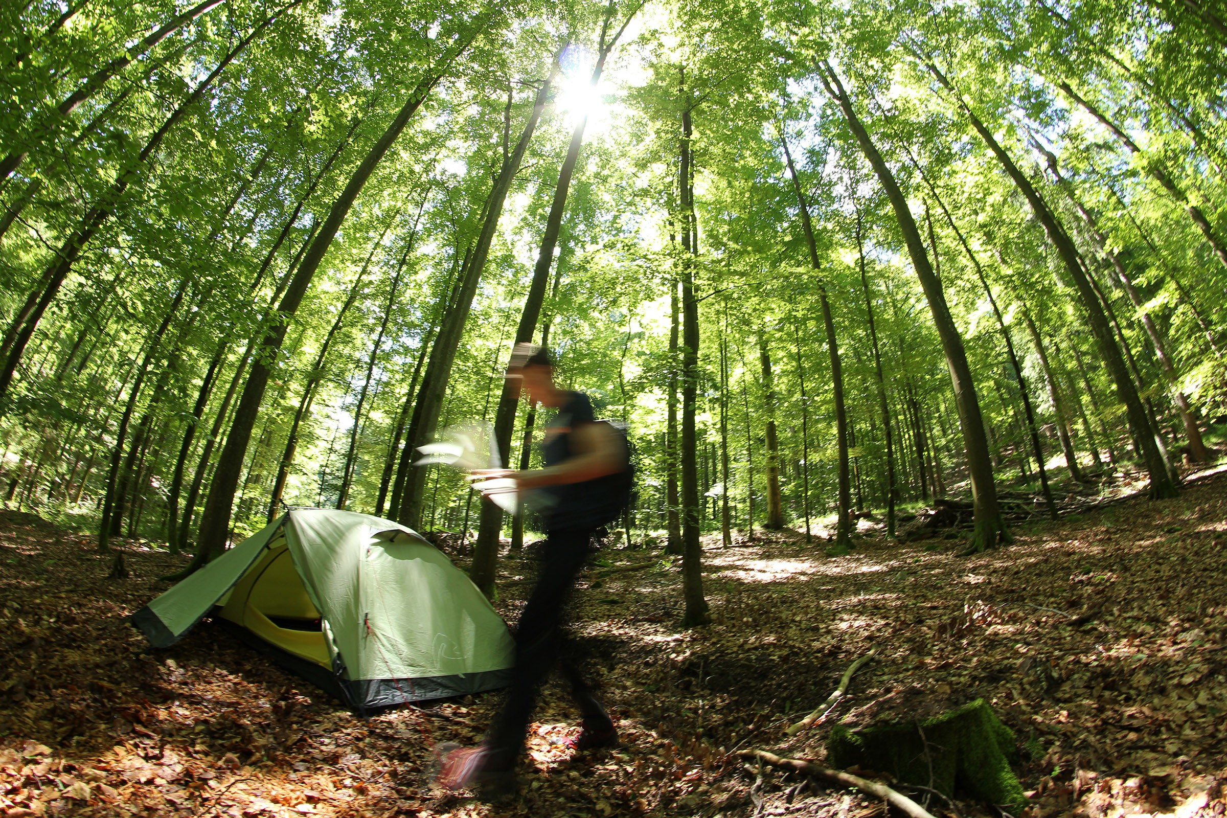 Trekking Schwarzwald © Jochen Denker, Naturpark Schwarzwald Mitte-Nord.JPG