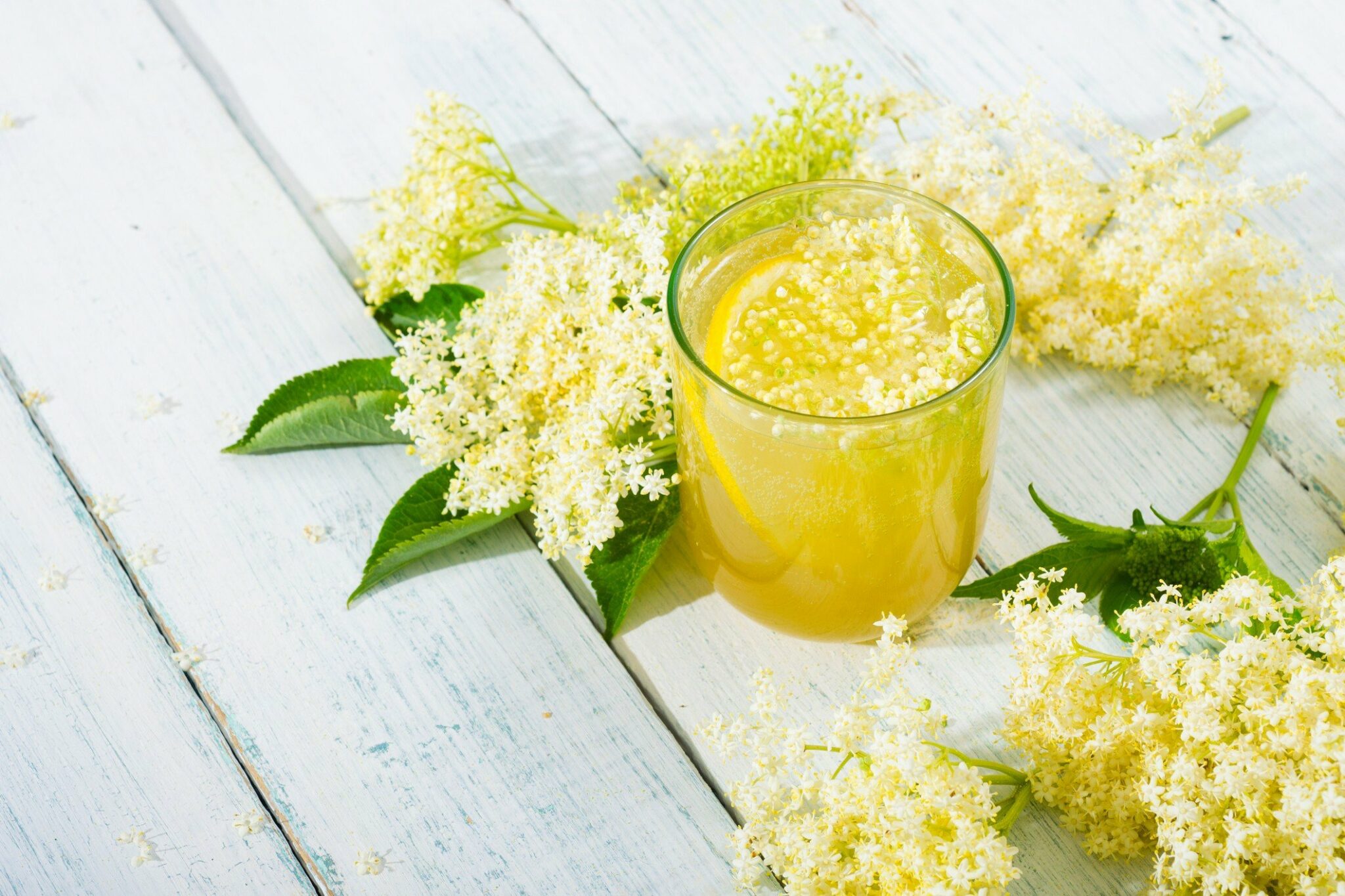 Leckere Rezepte mit Holunderblütensirup