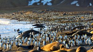 Die 8 schönsten Tierparadiese der Welt