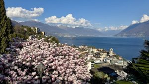 Tessin entdecken: Die schönsten Tipps für Genussbegeisterte